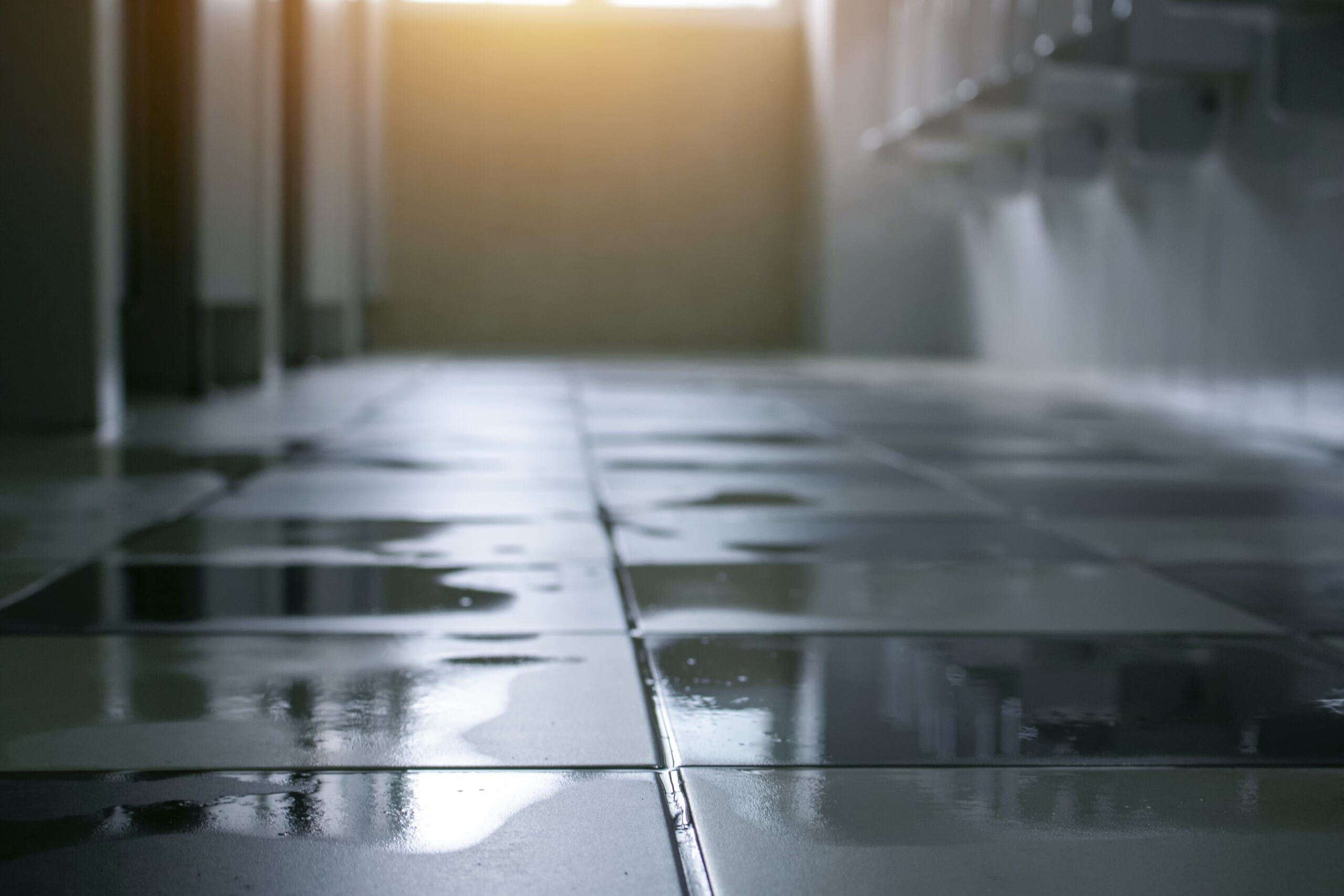 Solving Common Facility Challenges with Bio-Enzymatic Cleaners